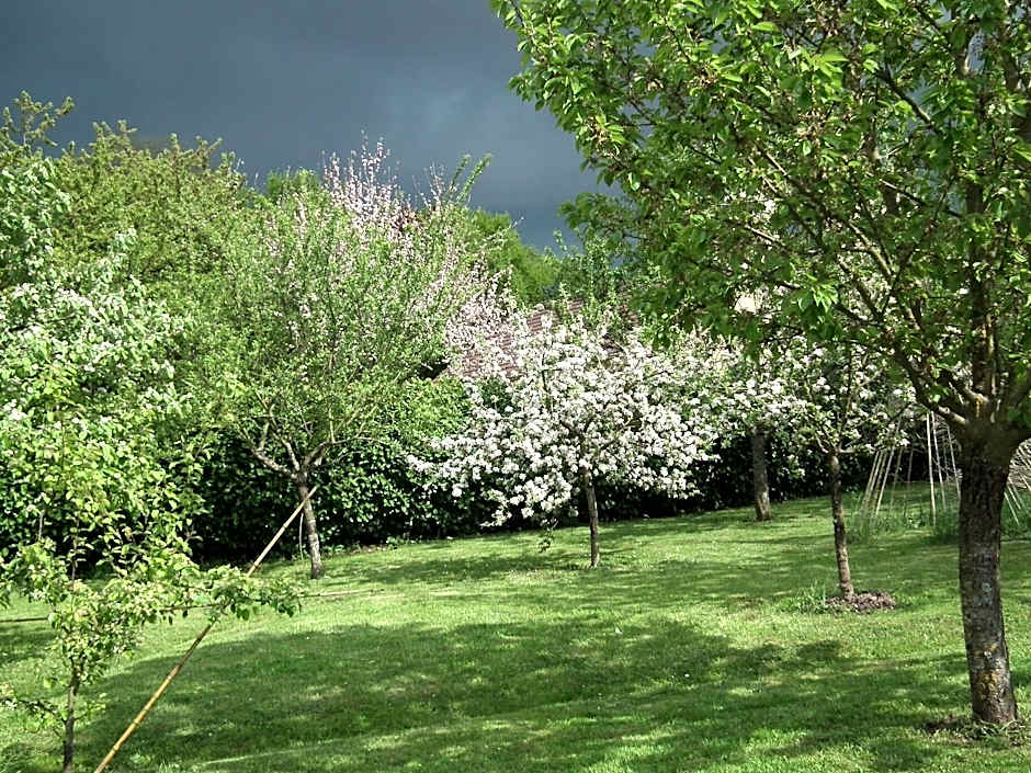 B B Au Pain Quotidien