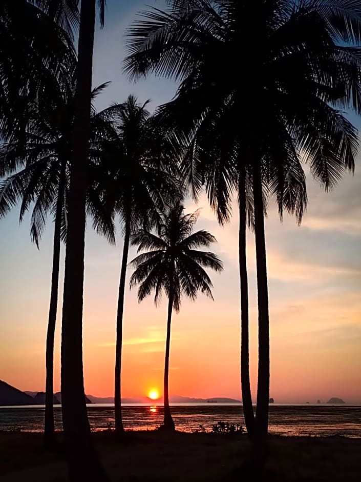 Backpack Hostel Kohyaoyai