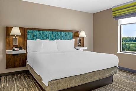 1 King Mobility Access Tub Studio Nosmok Sofabed/microwv/fridge/49hdtv Free Wi-fi/hot Breakfast Incl