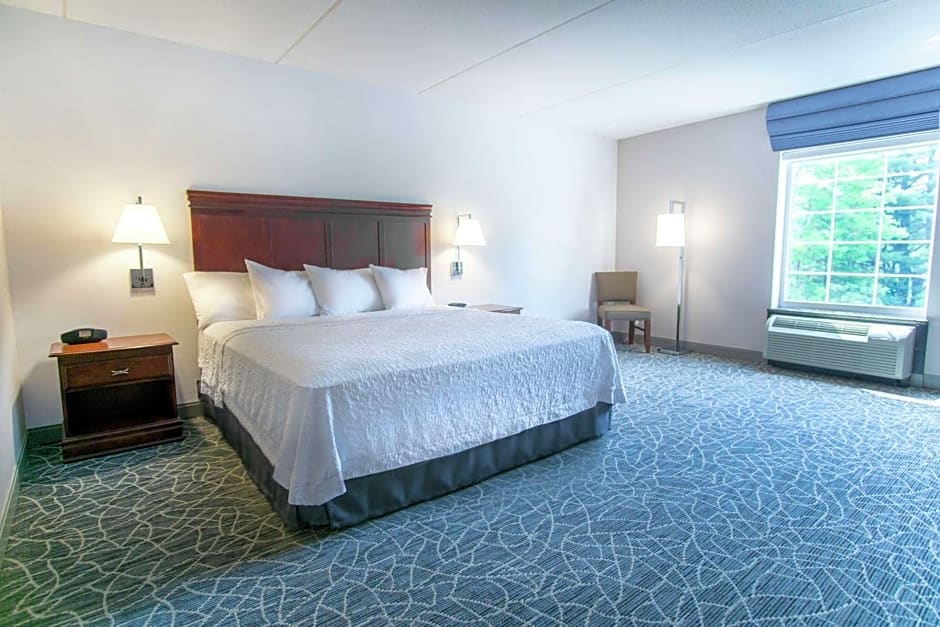 Hampton Inn By Hilton & Suites Berkshires-Lenox