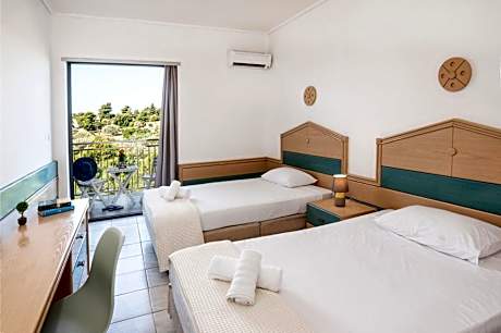 Double or Twin Room with Mountain View