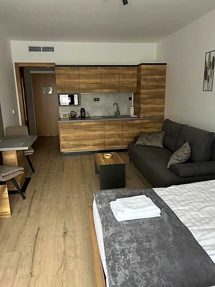 D&D Wellness Apartmanok - Dávid Wellness Apartman