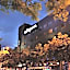 The Tango Hotel Taipei XinYi