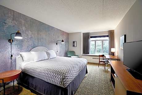 One Bedroom Executive Suite