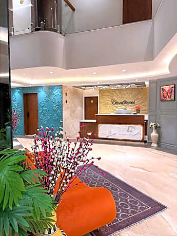 The olive hotel srinagar