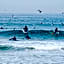 GetWet Surfcamp