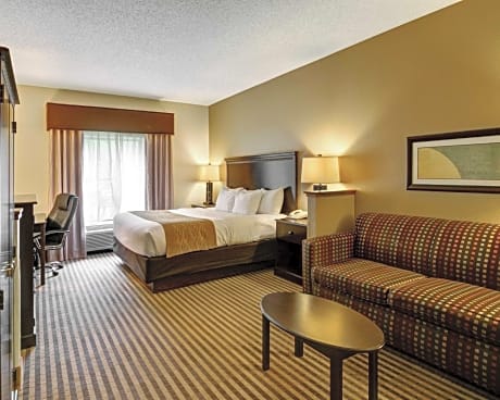 1 King Bed, Suite, Nonsmoking