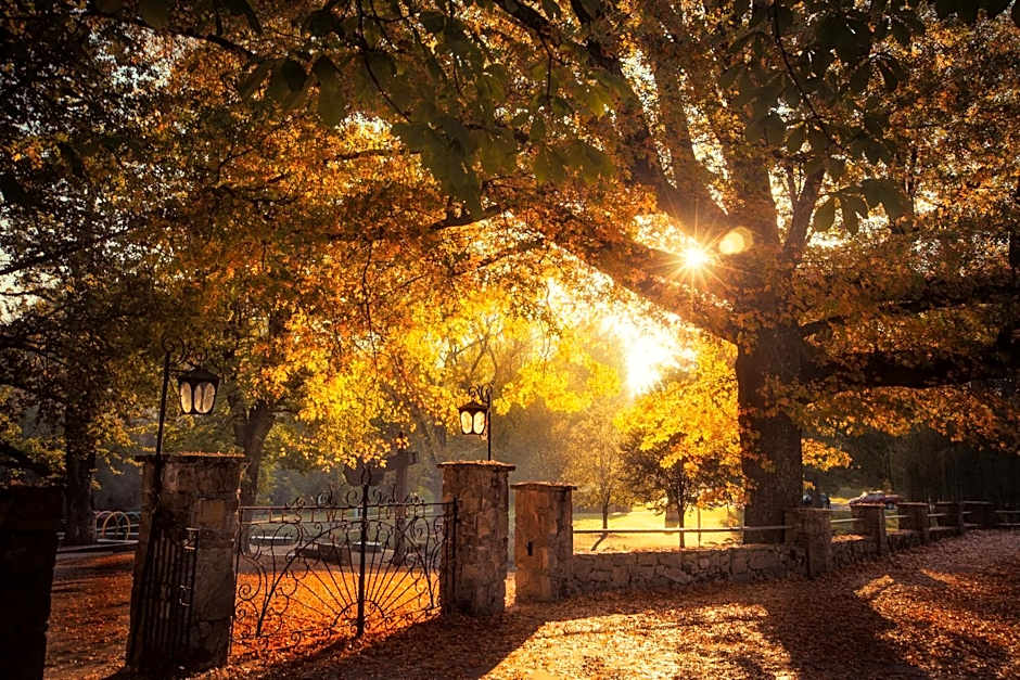 Goldfield Holiday Units