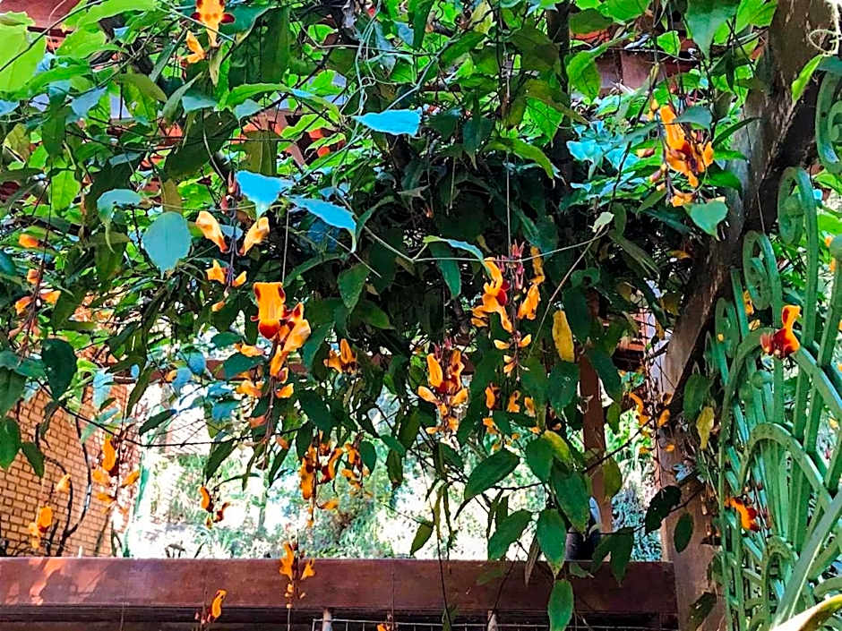 Loft Aconchegante em Meio à Natureza