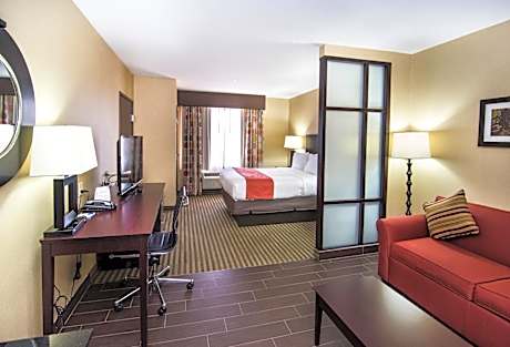 King Room with Sofa Bed