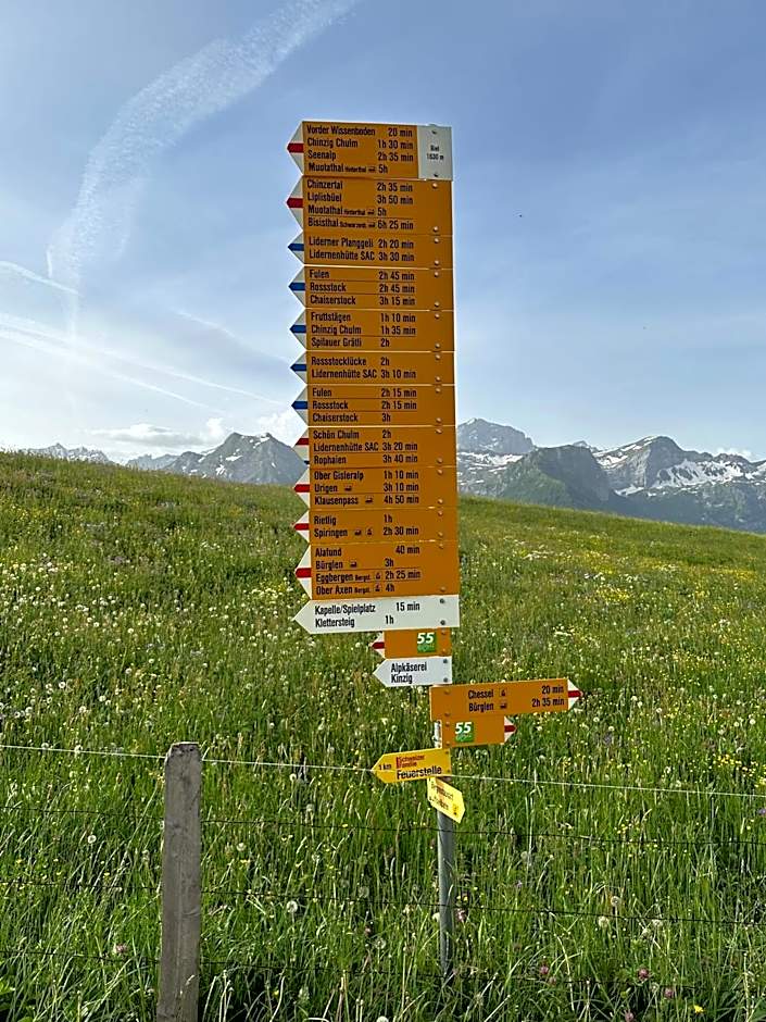 Alphotel Biel-Kinzig - Access by Cable Car only!