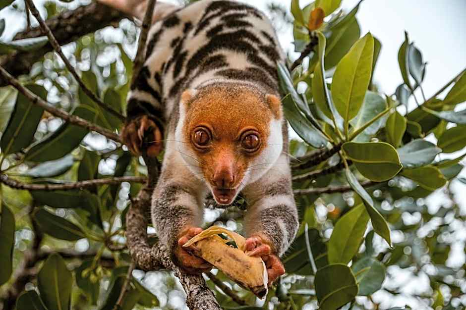 Methos Homestay - Raja Ampat