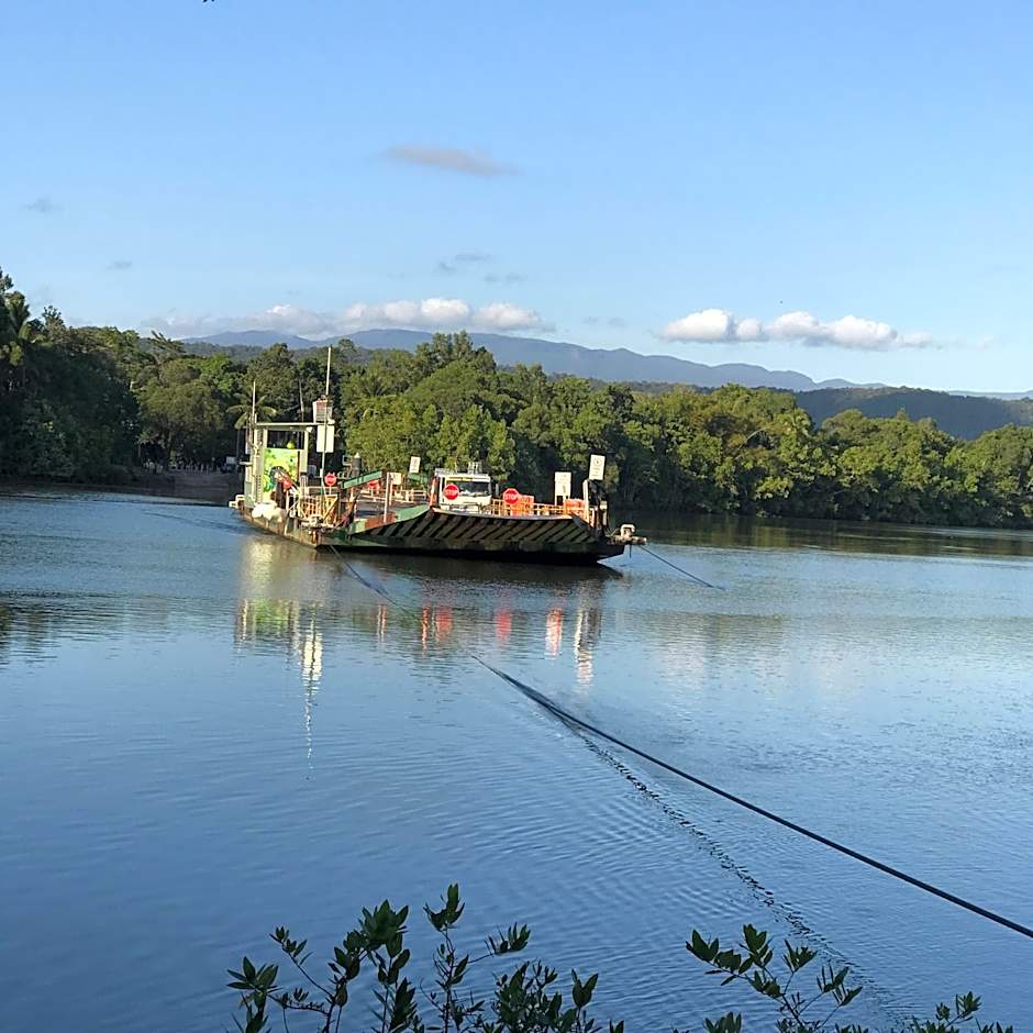 Daintree Crocodylus