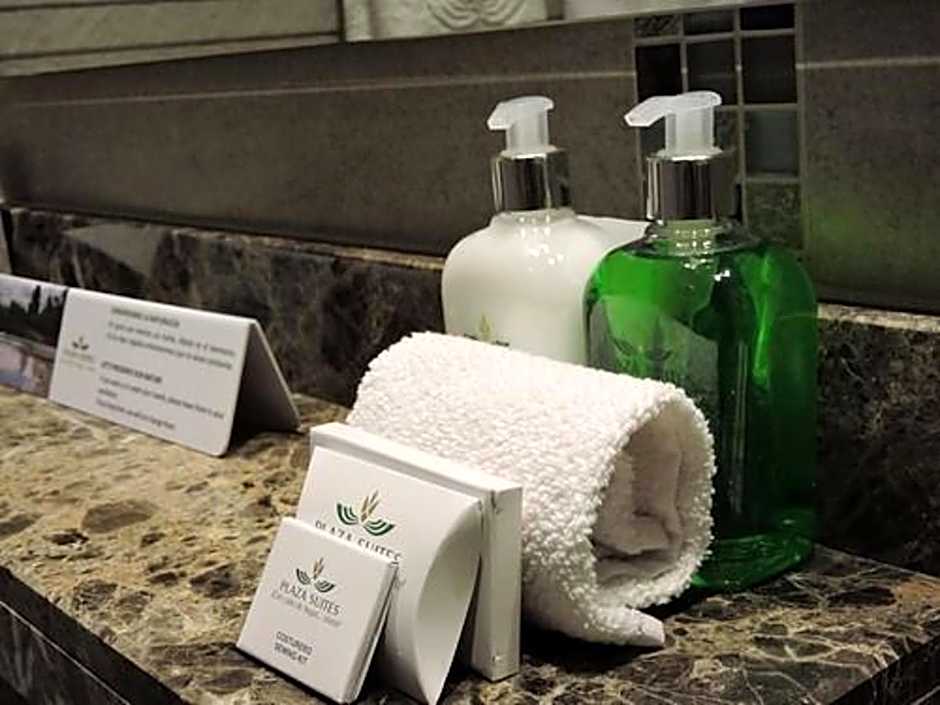 Apartamentos Plaza Suites