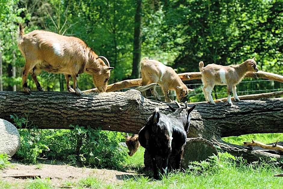 VILA VITA Burghotel Dinklage