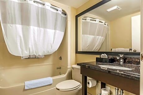 1 Queen Bed, 1-Person Sofabed, Nonsmoking