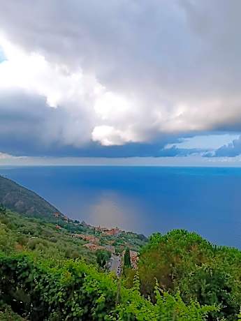 Bunk Bed in Mixed Dormitory Room