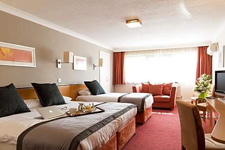 Standard Family Room with King Bed and Single Bed