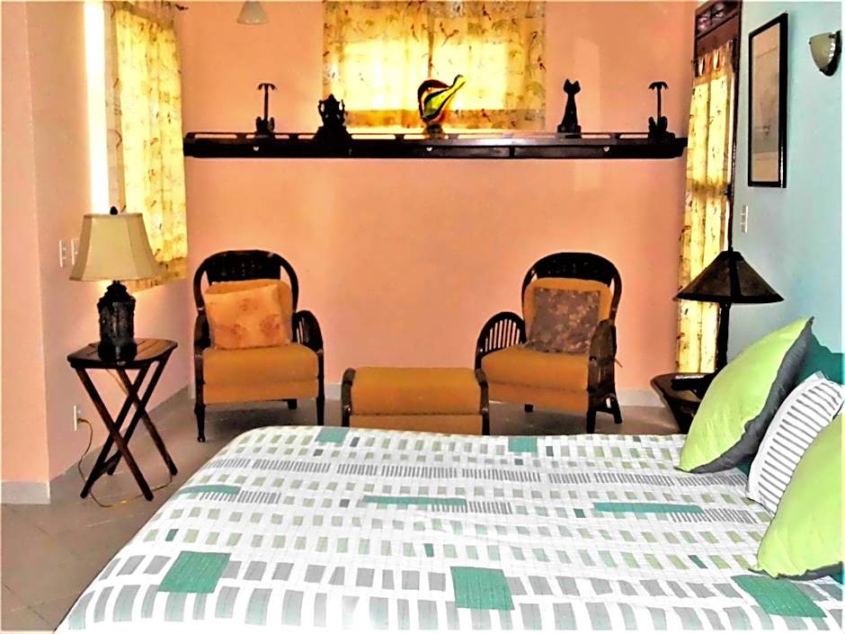 Casa Gatos