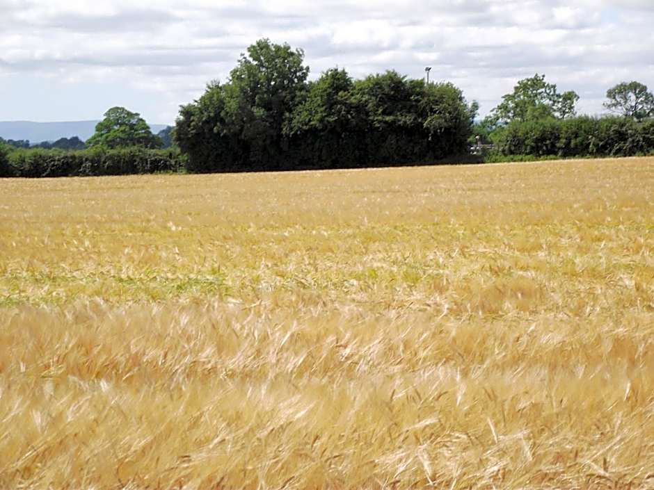 Twin Oaks Bed & Breakfast