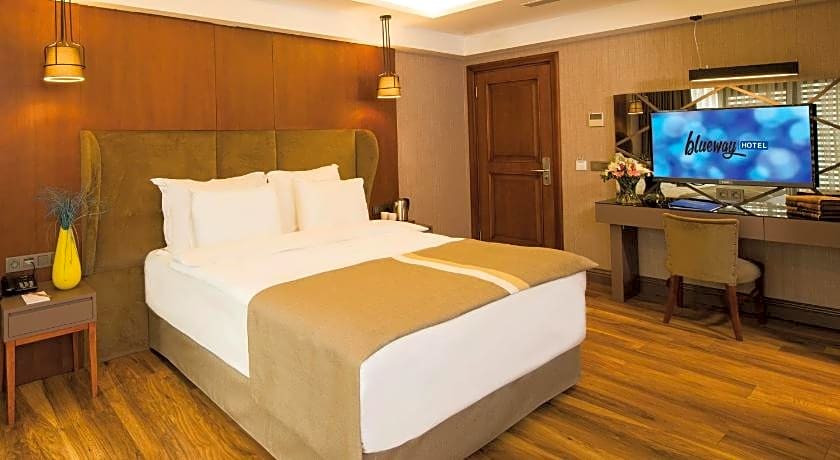 Blueway Hotel Historical