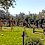 B&B Villa Molinari Restaurant e Baby Park