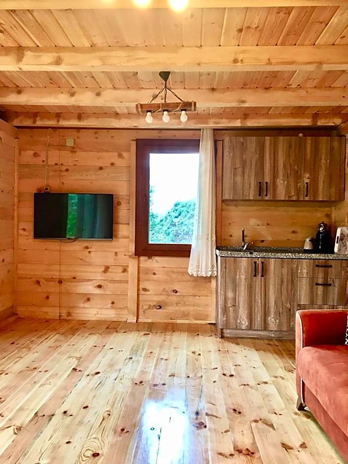 Vadi dağ evi bungalov