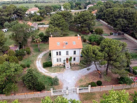 Un Nid en Camargue