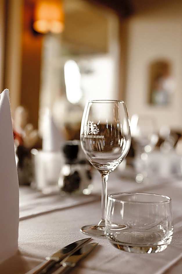 Hotel Restaurant Belvédère
