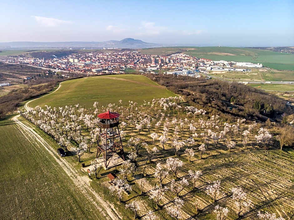 Wine Wellness Hotel Amande Hustopeče