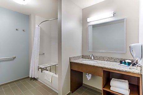 1 King Bed, Suite, Nonsmoking, Accessible