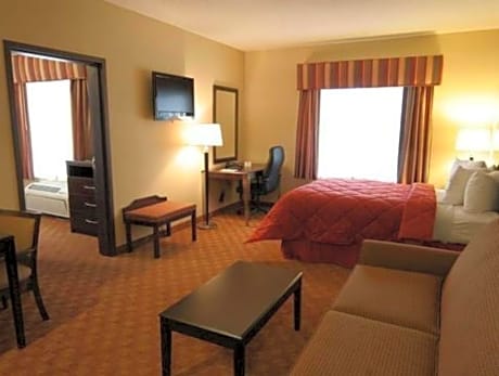 1 King Bed, Suite, Nonsmoking
