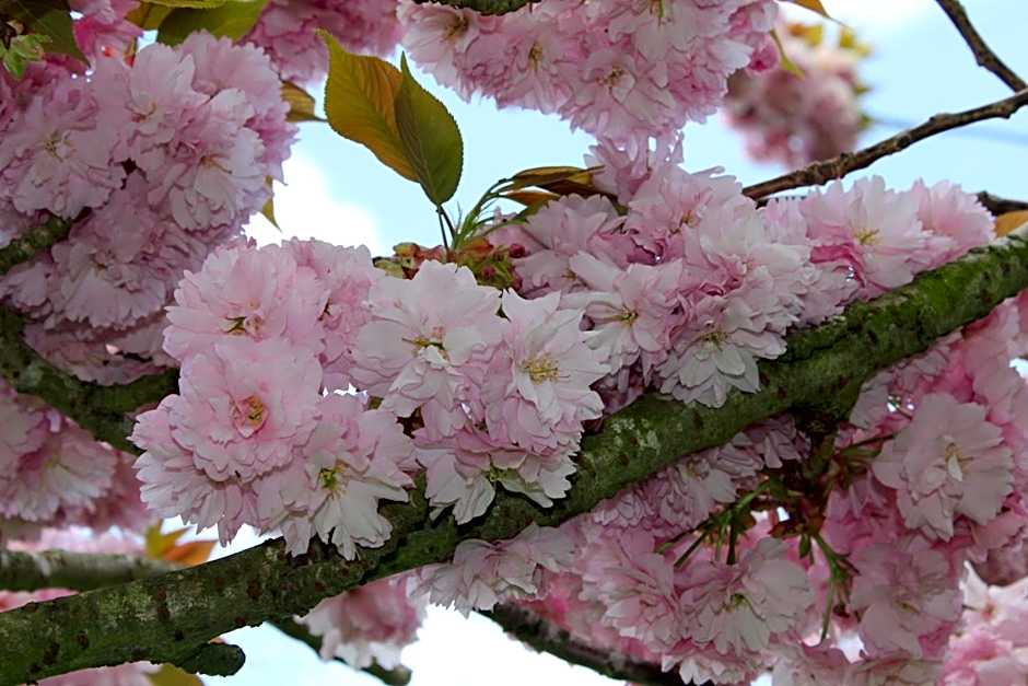 L'Heure Bleue gîtes et chambres d'hôtes
