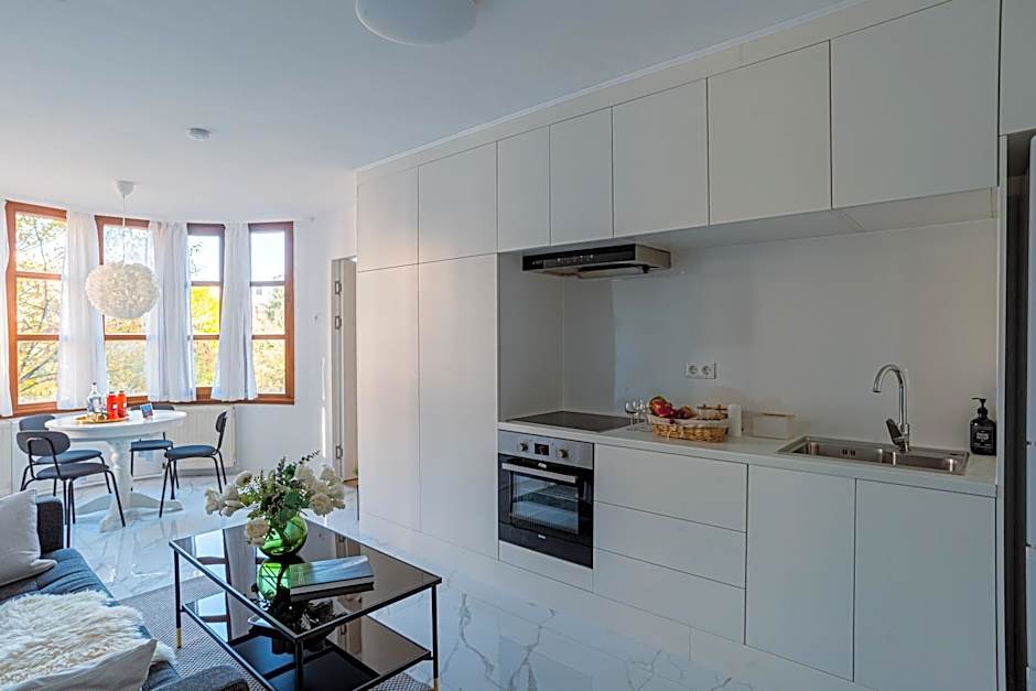 Deluxe Swan Stone Castle Apartment