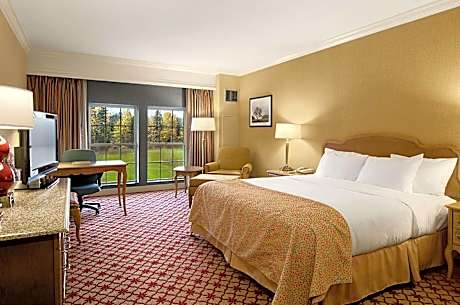 1 King Bed