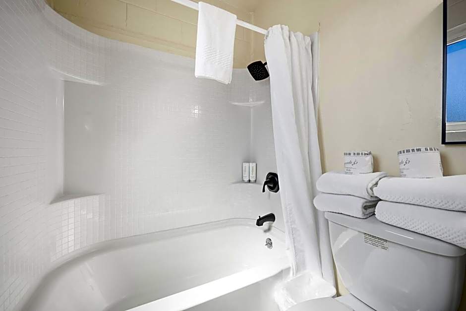 Econo Lodge Inn & Suites Heavenly Village Area