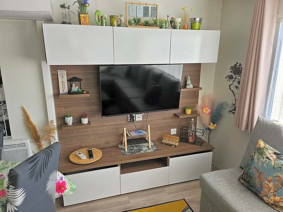 Mobil Home LES FLAMANTS ROSES CATHY&ROBERT