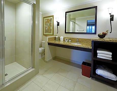 KNG BED MTG RM STE/CONF RM-POOLVIEW