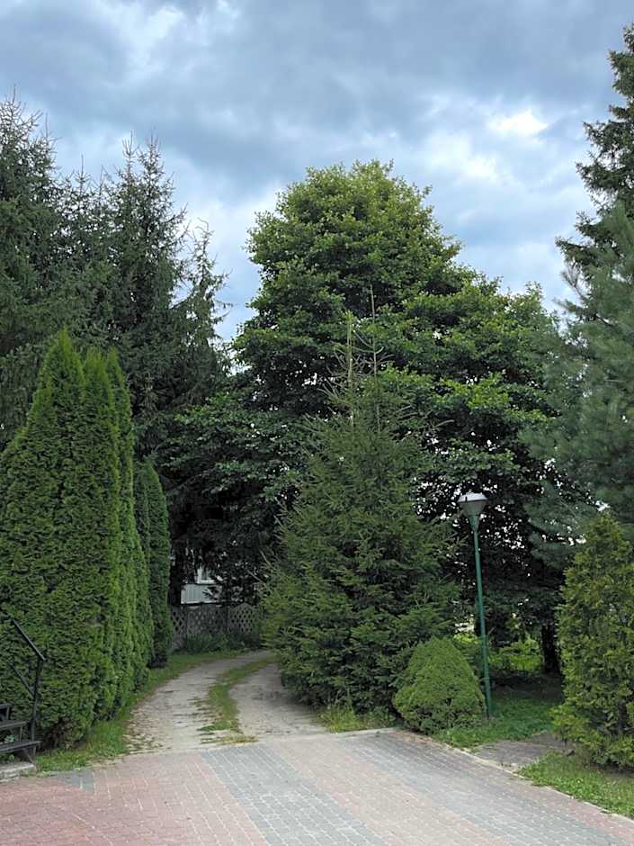 NOCLEGI-SPŁYWY BUGIEM