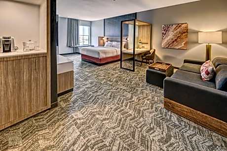 SpringHill Suites by Marriott Amarillo