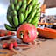 Finca Isolina Hotel Boutique - Adults Recommended