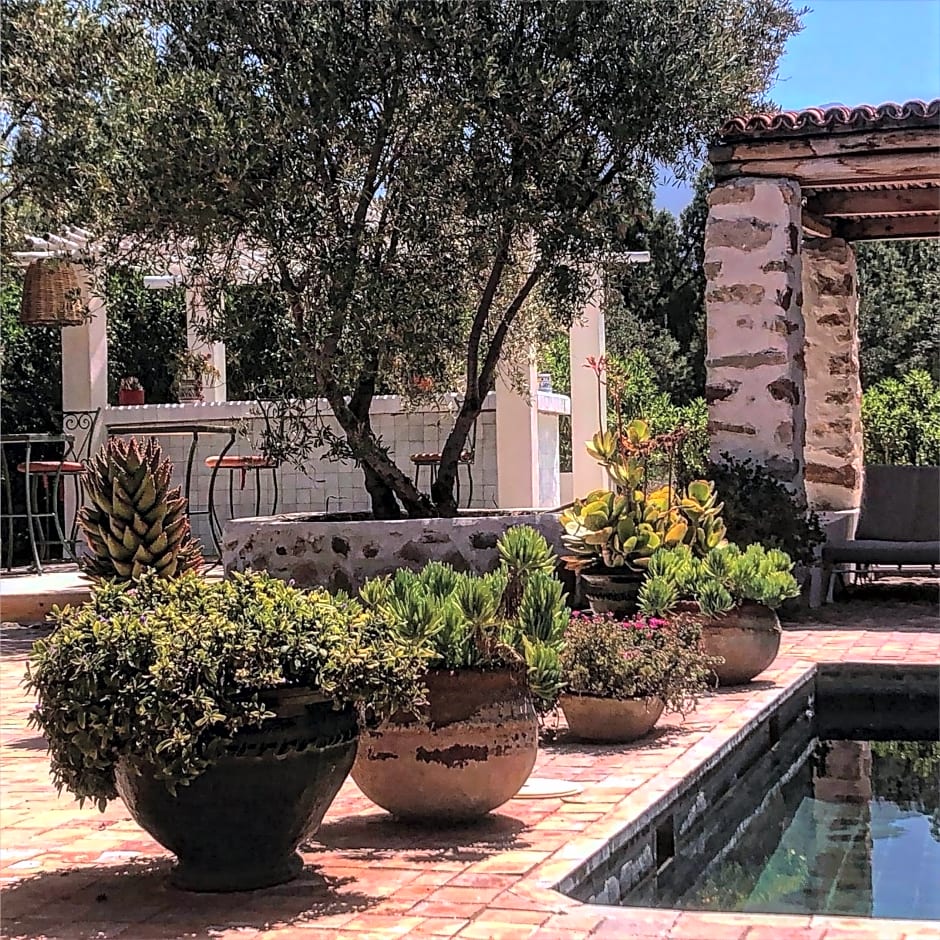 Sel d Ailleurs, Ouirgan - adults only