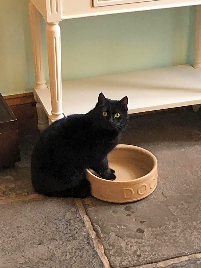 The Bell at Skenfrith