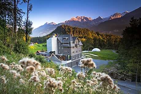 Apart Hotel Wetterhorn