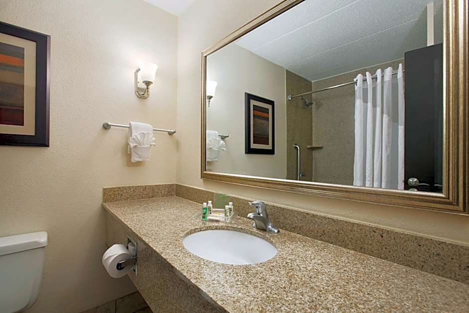 Holiday Inn and Suites Charleston West By IHG