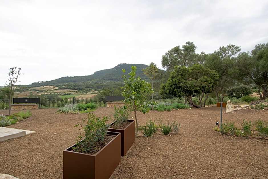 Fincahotel Treurer - Olive Grove & Grand House - Adults Only