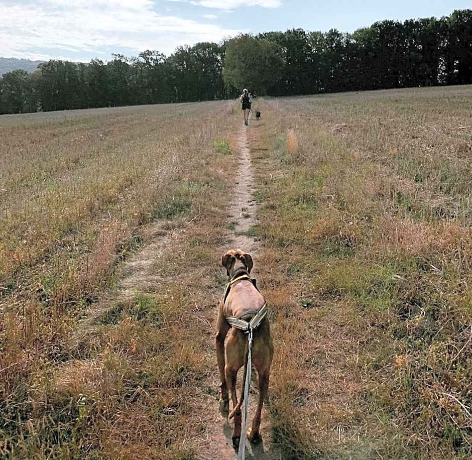 Escale Chambre d'hôtes Au coeur du vieux Profondeville entre Namur et Dinant