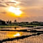 Suga Estate - Rice Field View Villas