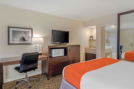 Accessibility - 1 King Bed, Bathtub, Nonsmoking