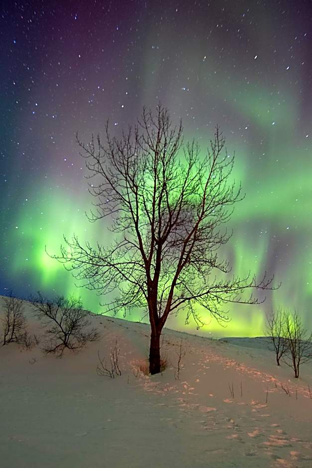 Dalshöfdi Guesthouse